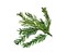 20"L Glittered Foam Pine Spray in Green - Sparkling Holiday Accent-XS7502